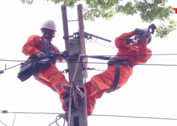 Long An: Thông báo lịch cúp điện ngày 07/06/2025