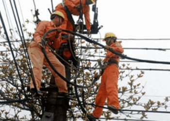 Thông báo lịch cúp điện Đồng Tháp ngày 26/07/2025 (Lịch riêng khu vực Tiền Giang cũ)