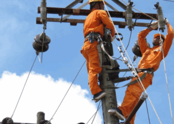 Thông báo lịch cúp điện Đồng Tháp ngày 04/08/2025 (Lịch riêng khu vực Tiền Giang cũ)