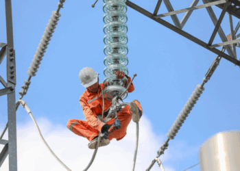 Thông báo lịch cúp điện Tây Ninh ngày 14/08/2025 (Lịch riêng khu vực Long An cũ)