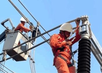 Thông báo lịch cúp điện Tây Ninh ngày 15/08/2025 (Lịch riêng khu vực Long An cũ)