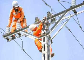 Thông báo lịch cúp điện Tây Ninh ngày 17/08/2025 (Lịch riêng khu vực Long An cũ)