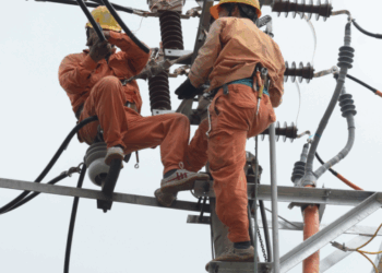 Thông báo lịch cúp điện Đồng Tháp ngày 22/08/2025 (Lịch riêng khu vực Tiền Giang cũ)