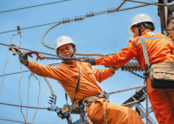 Thông báo lịch cúp điện Đồng Tháp ngày 06/08/2025 (Lịch riêng khu vực Tiền Giang cũ)